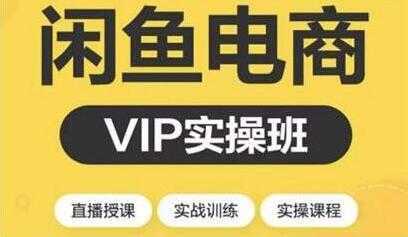 闲鱼副业项目月入过万进阶课程,教你掌握闲鱼电商所需的各项技能-课程网