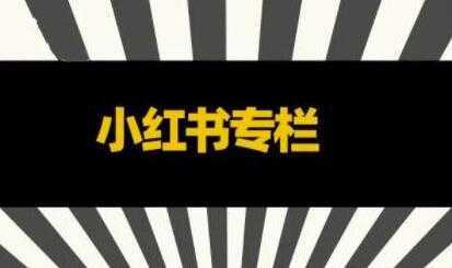 品牌医生《小红书全链营销干货》5个起盘案例,营销策略规划,避坑指南-课程网